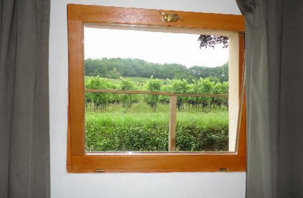 Hotel La Petite Madeleine Castillon-la-Bataille Zimmer foto